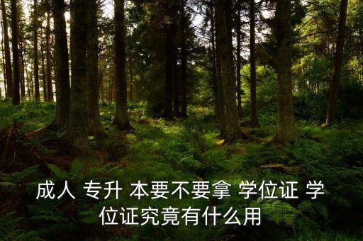 讀網(wǎng)大的專升本要申請學士學位