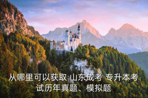從哪里可以獲取 山東成考 專升本考試歷年真題、模擬題