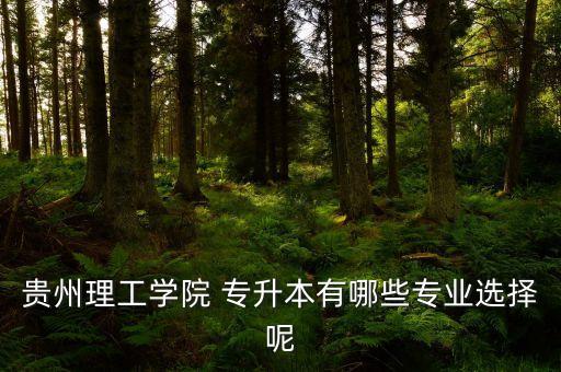 貴州理工學院 專升本有哪些專業(yè)選擇呢