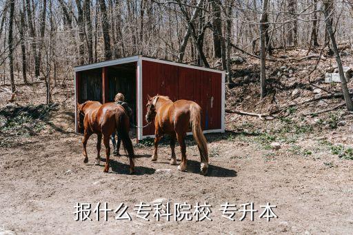 報(bào)什么專(zhuān)科院校 專(zhuān)升本