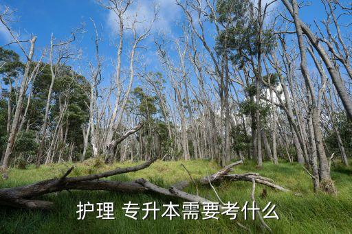 山西護理自考專升本考試科目,自考專升本小學教育考試科目