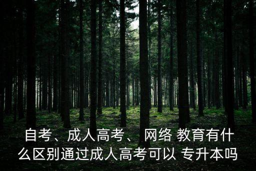  自考、成人高考、 網(wǎng)絡(luò) 教育有什么區(qū)別通過成人高考可以 專升本嗎
