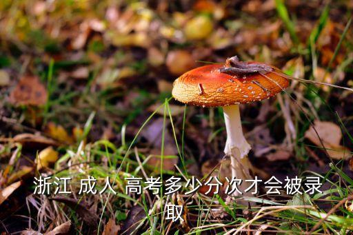  浙江 成人 高考多少分次才會(huì)被錄取