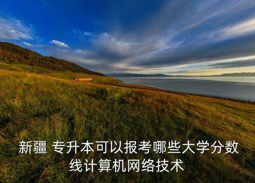  新疆 專升本可以報考哪些大學(xué)分?jǐn)?shù)線計算機(jī)網(wǎng)絡(luò)技術(shù)
