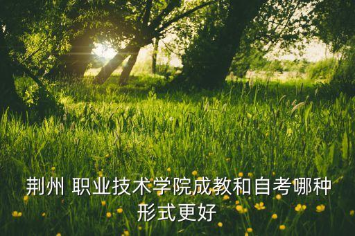  荊州 職業(yè)技術學院成教和自考哪種形式更好