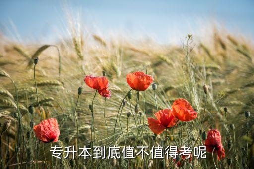  專升本到底值不值得考呢