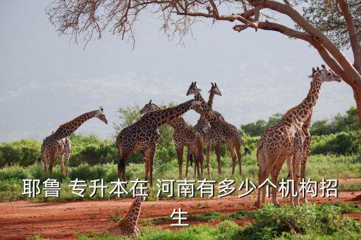 耶魯 專(zhuān)升本在 河南有多少個(gè)機(jī)構(gòu)招生