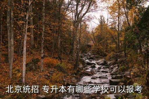 北京統(tǒng)招 專升本有哪些學?？梢詧罂? class=
