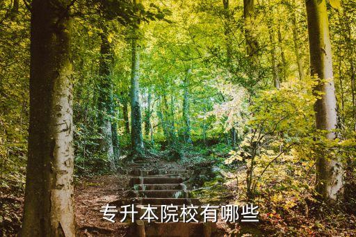 綿陽(yáng)專升本培訓(xùn)學(xué)校,太原專升本培訓(xùn)學(xué)校哪個(gè)比較好