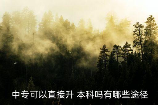  中?？梢灾苯由?本科嗎有哪些途徑