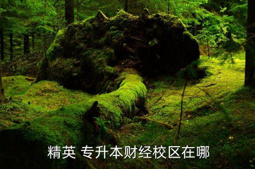  精英 專升本財(cái)經(jīng)校區(qū)在哪