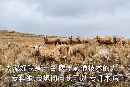 大家好我是一名 醫(yī)學影像技術(shù)的大一?？粕?我想問問我可以 專升本嗎