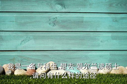 我是一名?？粕?想去 愛爾蘭讀碩士,請問有什么樣的途徑