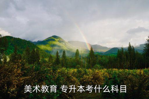  美術教育 專升本考什么科目