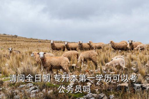 請問全日制 專升本第一學(xué)歷可以考 公務(wù)員嗎
