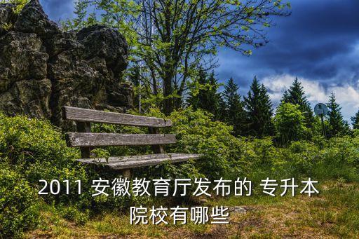 2011 安徽教育廳發(fā)布的 專(zhuān)升本院校有哪些