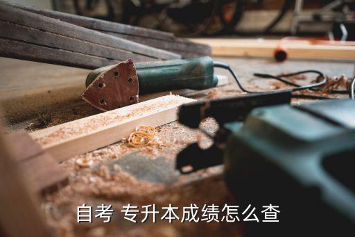 自考 專升本成績怎么查