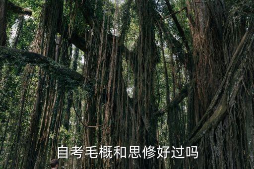 自考毛概和思修好過嗎