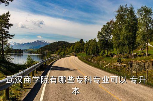 武漢商學(xué)院有哪些?？茖I(yè)可以 專升本