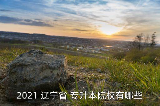 2021 遼寧省 專(zhuān)升本院校有哪些