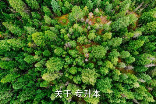 關(guān)于 專(zhuān)升本