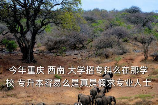 今年重慶 西南 大學(xué)招?？泼丛谀菍W(xué)校 專升本容易么是真是假求專業(yè)人士...
