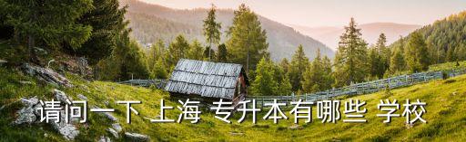 請(qǐng)問一下 上海 專升本有哪些 學(xué)校