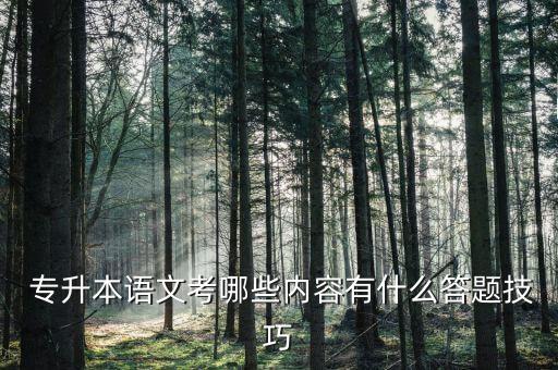  專升本語文考哪些內(nèi)容有什么答題技巧