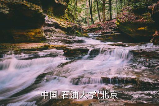 中國(guó) 石油大學(xué)(北京