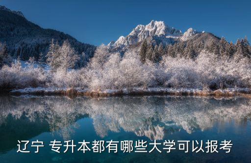 鞍山專升本在哪里,鞍山職業(yè)技術學院能專升本嗎