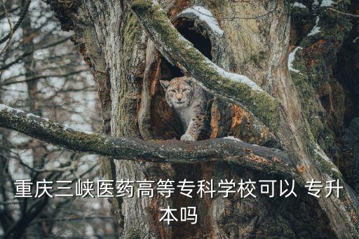 重慶三峽醫(yī)藥高等?？茖W(xué)?？梢?專升本嗎