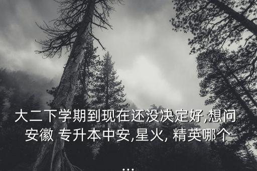 大二下學(xué)期到現(xiàn)在還沒決定好,想問 安徽 專升本中安,星火, 精英哪個(gè)...