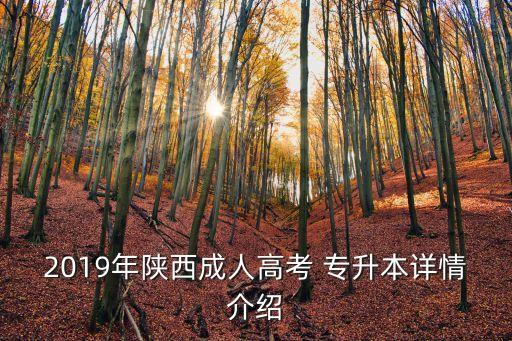 陜中醫(yī)專升本心理學課程計劃,專升本教育學心理學課程