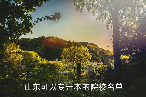  山東可以專(zhuān)升本的院校名單