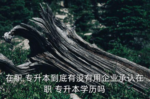 在職 專升本到底有沒有用企業(yè)承認在職 專升本學歷嗎