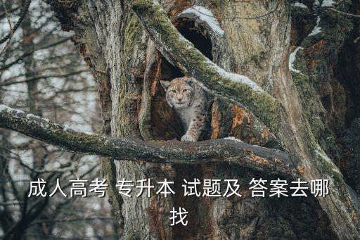 成人高考 專(zhuān)升本 試題及 答案去哪找