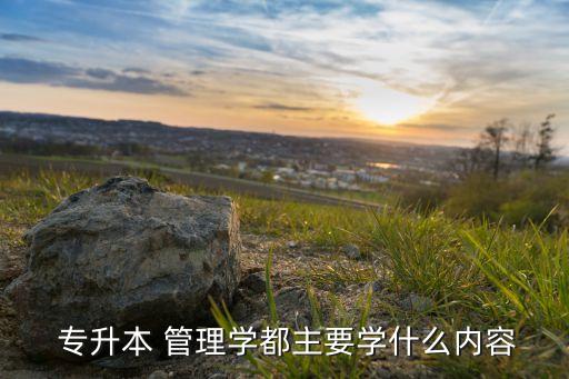  專升本 管理學都主要學什么內(nèi)容