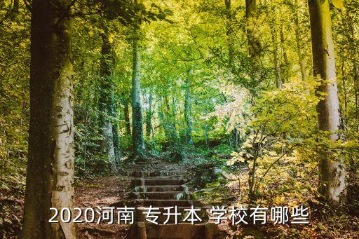 鄭州有哪些公辦專升本學校,鄭州輕工業(yè)大學里的專升本是公辦嗎?