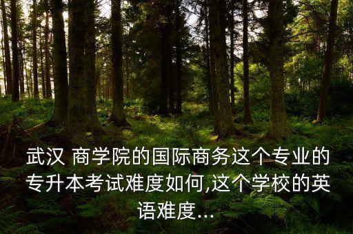  武漢 商學(xué)院的國(guó)際商務(wù)這個(gè)專業(yè)的 專升本考試難度如何,這個(gè)學(xué)校的英語(yǔ)難度...