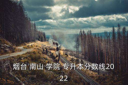 煙臺 南山 學(xué)院 專升本分?jǐn)?shù)線2022