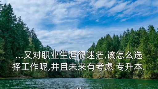 ...又對(duì)職業(yè)生涯很迷茫,該怎么選擇工作呢,并且未來有考慮 專升本...