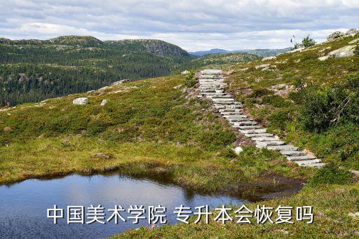 中國美術(shù)學院 專升本會恢復嗎