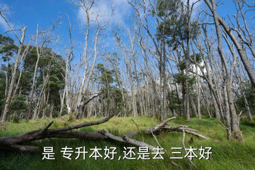 三本和專升本哪一個好,哪一個專升本機構可靠?