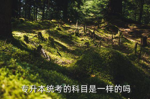  專(zhuān)升本統(tǒng)考的科目是一樣的嗎
