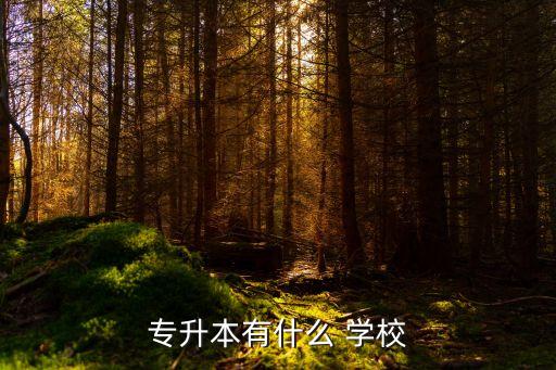 專升本有什么 學校