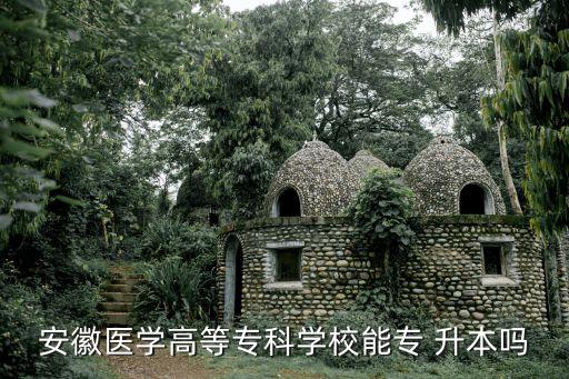 安徽醫(yī)學(xué)高等?？茖W(xué)校能專 升本嗎