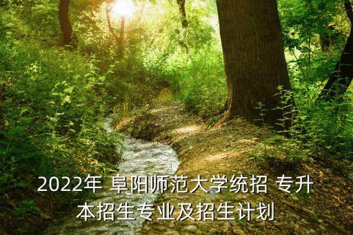 2022年 阜陽師范大學統(tǒng)招 專升本招生專業(yè)及招生計劃