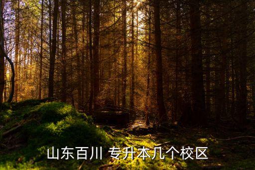 山東百川 專升本幾個(gè)校區(qū)