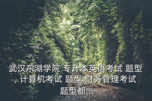 武漢東湖學(xué)院 專升本英語考試 題型, 計算機(jī)考試 題型,財務(wù)管理考試 題型都...