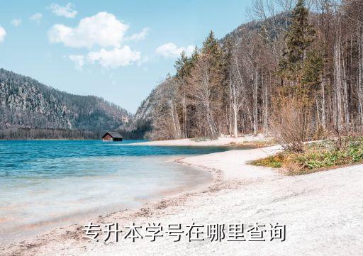  專升本學號在哪里查詢